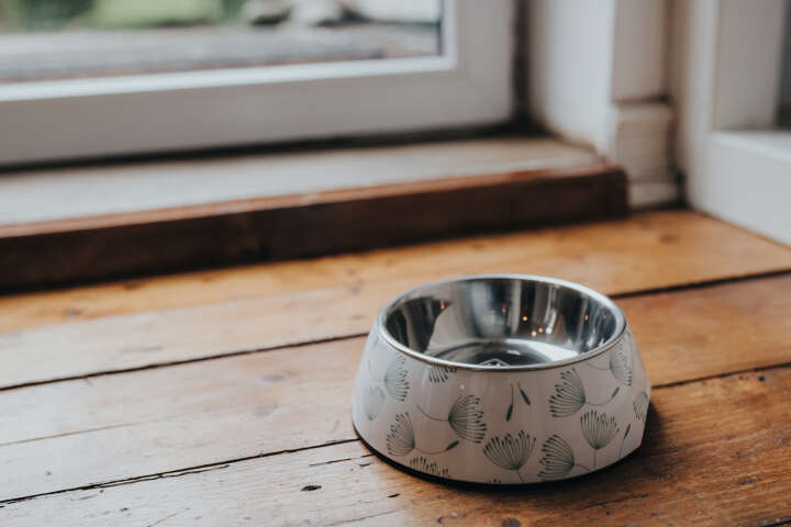 HUNTER Melamin-Napf Blies